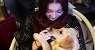 avatar petsitter