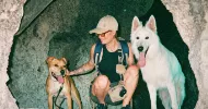 avatar petsitter