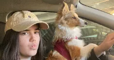 avatar petsitter