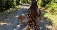 avatar petsitter