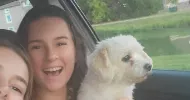 avatar petsitter