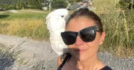 avatar petsitter