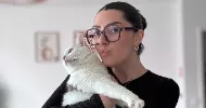 avatar petsitter