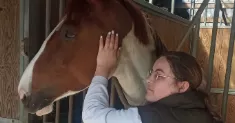 avatar petsitter