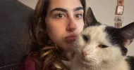 avatar petsitter