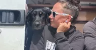 avatar petsitter