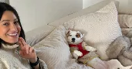 avatar petsitter