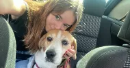 avatar petsitter