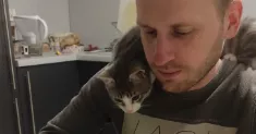 avatar petsitter