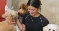 avatar petsitter