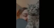 avatar petsitter