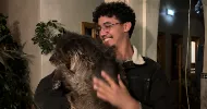 avatar petsitter