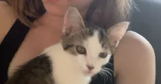 avatar petsitter