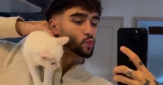 avatar petsitter