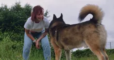 avatar petsitter
