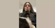 avatar petsitter