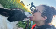 avatar petsitter