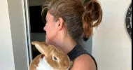avatar petsitter