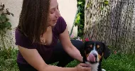 avatar petsitter