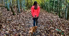 avatar petsitter