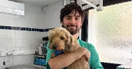 avatar petsitter