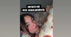 avatar petsitter