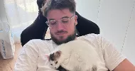 avatar petsitter