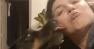 avatar petsitter