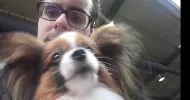 avatar petsitter