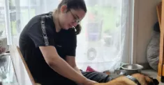 avatar petsitter