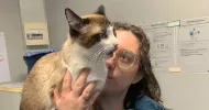 avatar petsitter