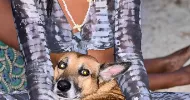 avatar petsitter