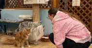 avatar petsitter