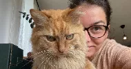 avatar petsitter