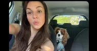 avatar petsitter