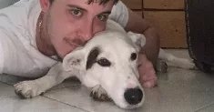 avatar petsitter