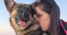 avatar petsitter
