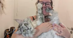 avatar petsitter