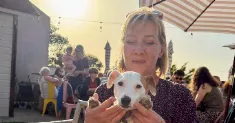 avatar petsitter