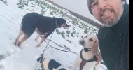 avatar petsitter