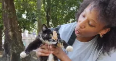 avatar petsitter