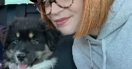 avatar petsitter