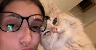 avatar petsitter