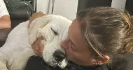 avatar petsitter