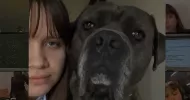 avatar petsitter