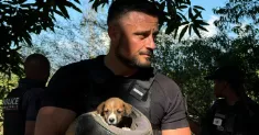avatar petsitter