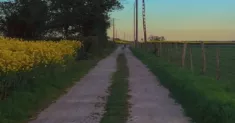 avatar petsitter