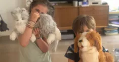 avatar petsitter