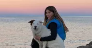 avatar petsitter