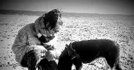 avatar petsitter